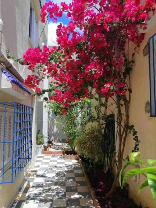 Maison A El Omrane . Tunisi Esterno foto